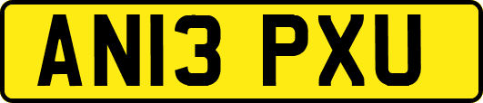 AN13PXU