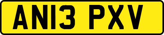 AN13PXV