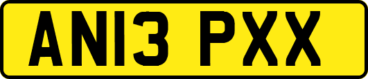 AN13PXX