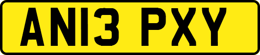 AN13PXY