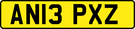 AN13PXZ