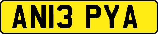 AN13PYA