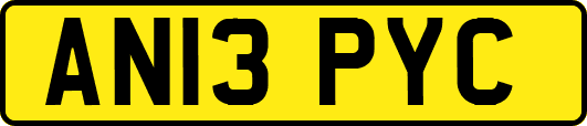 AN13PYC