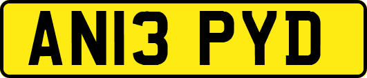 AN13PYD