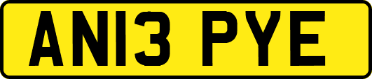 AN13PYE