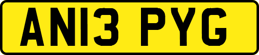 AN13PYG