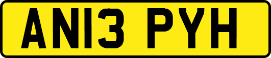 AN13PYH