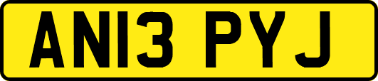 AN13PYJ