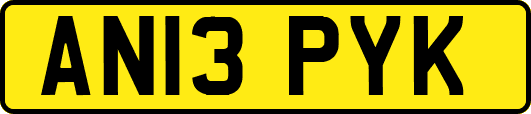 AN13PYK