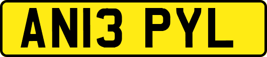 AN13PYL