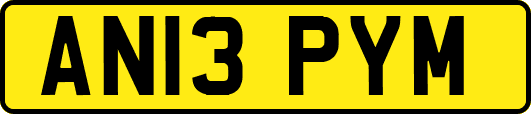 AN13PYM