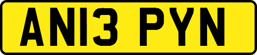 AN13PYN
