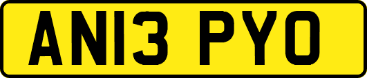 AN13PYO