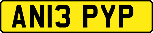 AN13PYP