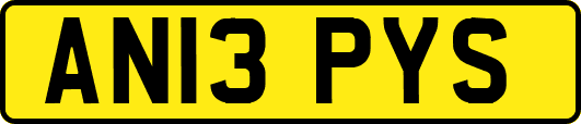AN13PYS