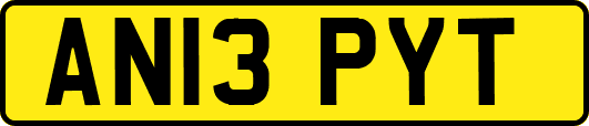 AN13PYT