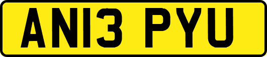 AN13PYU