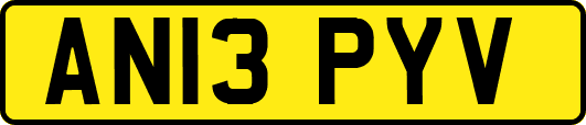 AN13PYV