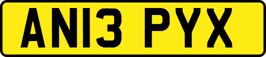 AN13PYX