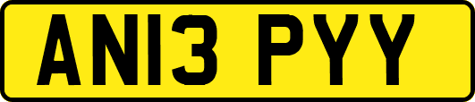 AN13PYY
