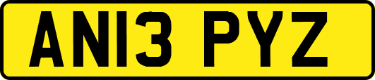 AN13PYZ