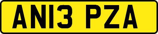 AN13PZA