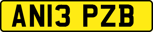AN13PZB