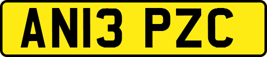 AN13PZC
