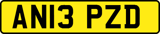 AN13PZD