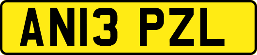 AN13PZL