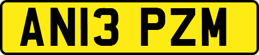 AN13PZM