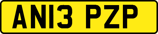 AN13PZP