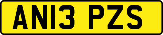 AN13PZS