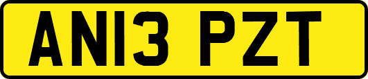 AN13PZT
