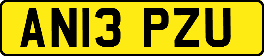 AN13PZU