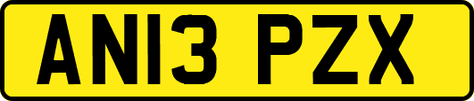 AN13PZX