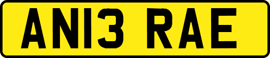 AN13RAE
