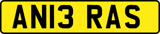 AN13RAS