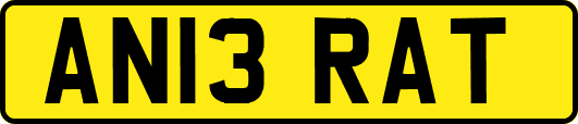 AN13RAT