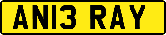 AN13RAY