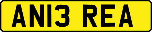 AN13REA