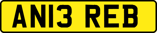 AN13REB