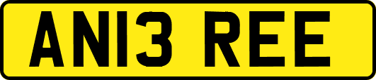 AN13REE