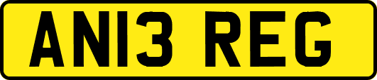 AN13REG