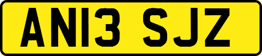 AN13SJZ