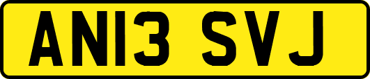 AN13SVJ