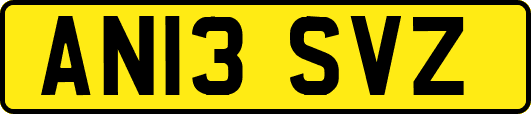 AN13SVZ