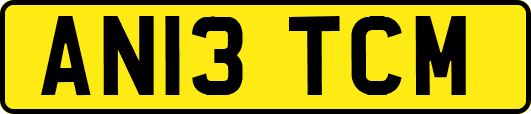 AN13TCM