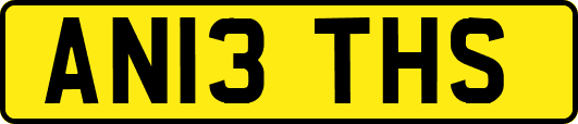 AN13THS