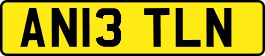 AN13TLN